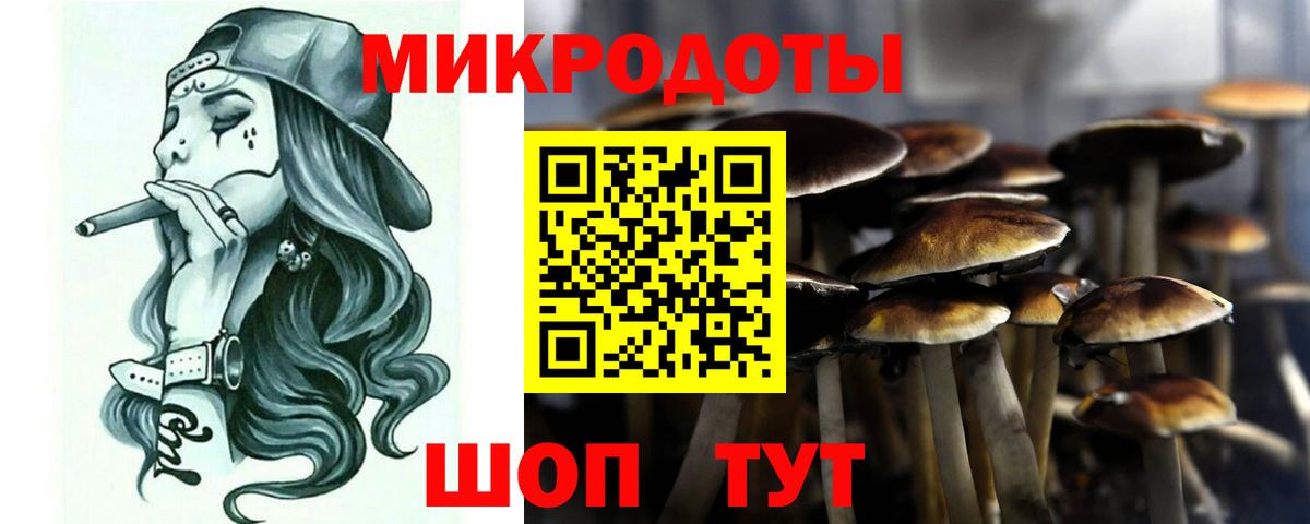 Солнечногорск  купить закладку  Вход с VPN  Галлюциногенные грибы MAGIC MUSHROOMS 